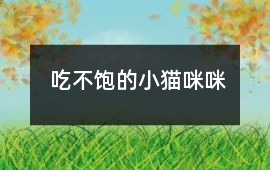 吃不飽的小貓咪咪