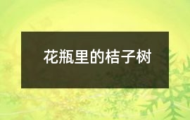 花瓶里的桔子樹