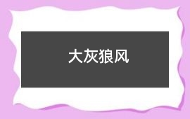 大灰狼風