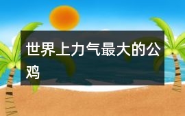 世界上力氣最大的公雞