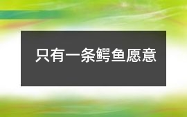 只有一條鱷魚愿意