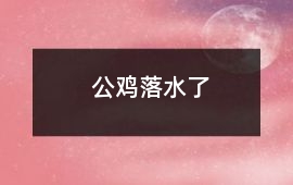 公雞落水了