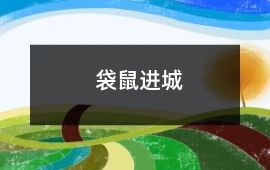 袋鼠進城