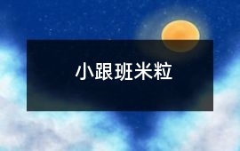 小跟班米粒