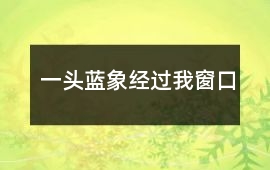 一頭藍象經過我窗口