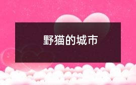 野貓的城市