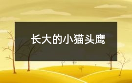長大的小貓頭鷹