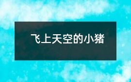 飛上天空的小豬