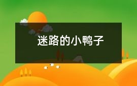 迷路的小鴨子