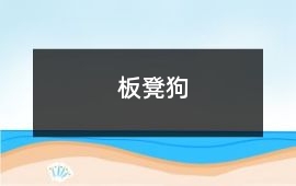 板凳狗