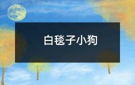 白毯子小狗