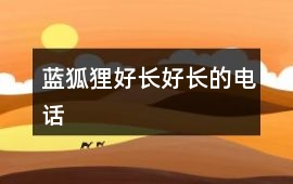 藍狐貍：好長好長的電話