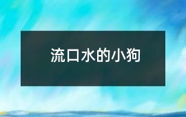 流口水的小狗