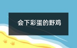 會下彩蛋的野雞