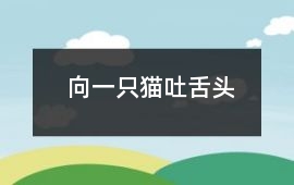 向一只貓吐舌頭