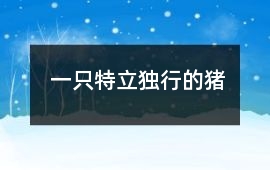 一只特立獨行的豬
