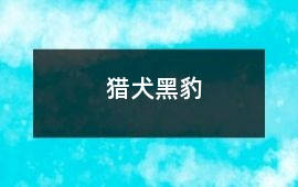 獵犬黑豹