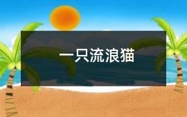 一只流浪貓