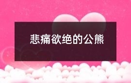 悲痛欲絕的公熊