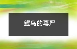 鰹鳥的尊嚴(yán)