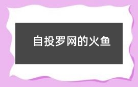 自投羅網(wǎng)的火魚
