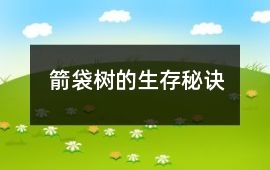 箭袋樹的生存秘訣