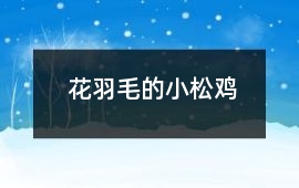 花羽毛的小松雞