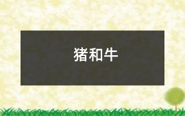 豬和牛