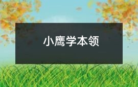 小鷹學本領