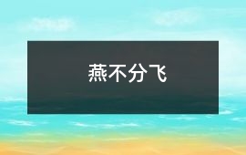 燕不分飛