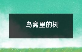 鳥窩里的樹