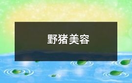 野豬美容
