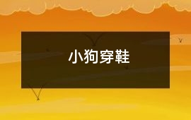 小狗穿鞋
