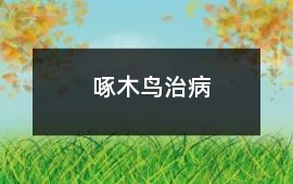 啄木鳥治病