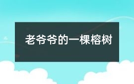 老爺爺的一棵榕樹