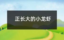 正長大的小龍蝦
