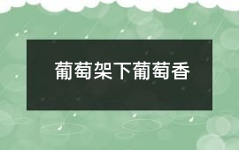 葡萄架下葡萄香