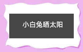 小白兔曬太陽(yáng)