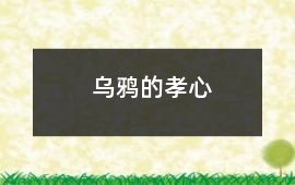 烏鴉的孝心