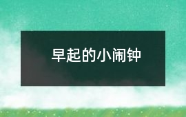 早起的小鬧鐘