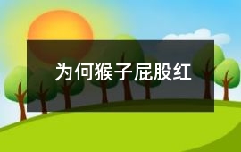為何猴子屁股紅