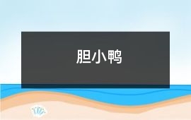 膽小鴨