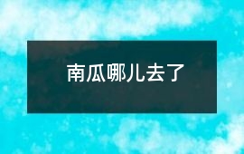 南瓜哪兒去了