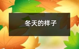 冬天的樣子