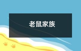 老鼠家族