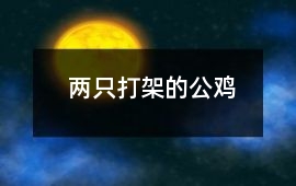 兩只打架的公雞