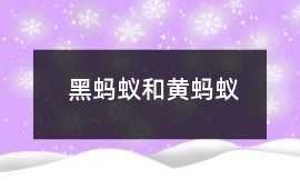 黑螞蟻和黃螞蟻