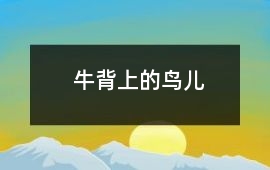 牛背上的鳥兒