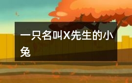 一只名叫X先生的小兔