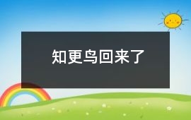 知更鳥回來了